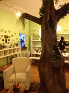 Twig Terrarium Shop in Brooklyn