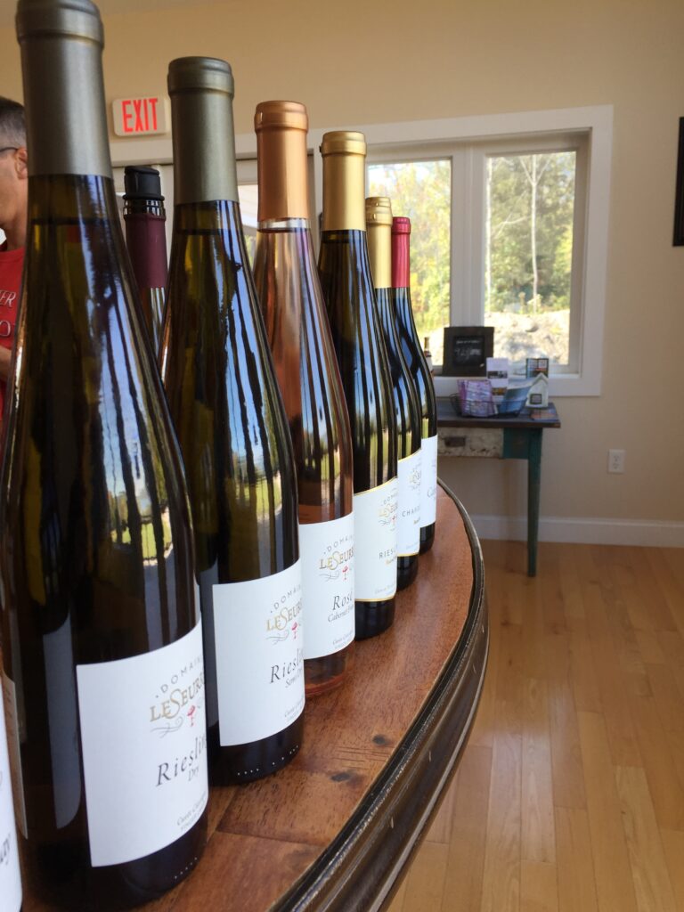 Wine bottles on display