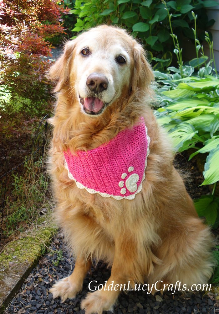 Dog bandana crochet pattern by GoldenLucyCrafts