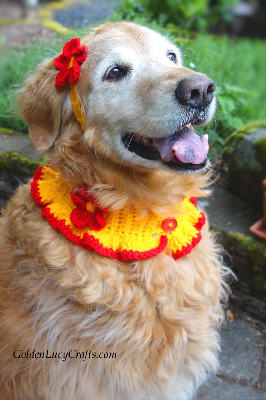 Dog Headband and collar crochet pattern by GoldenLucyCrafts