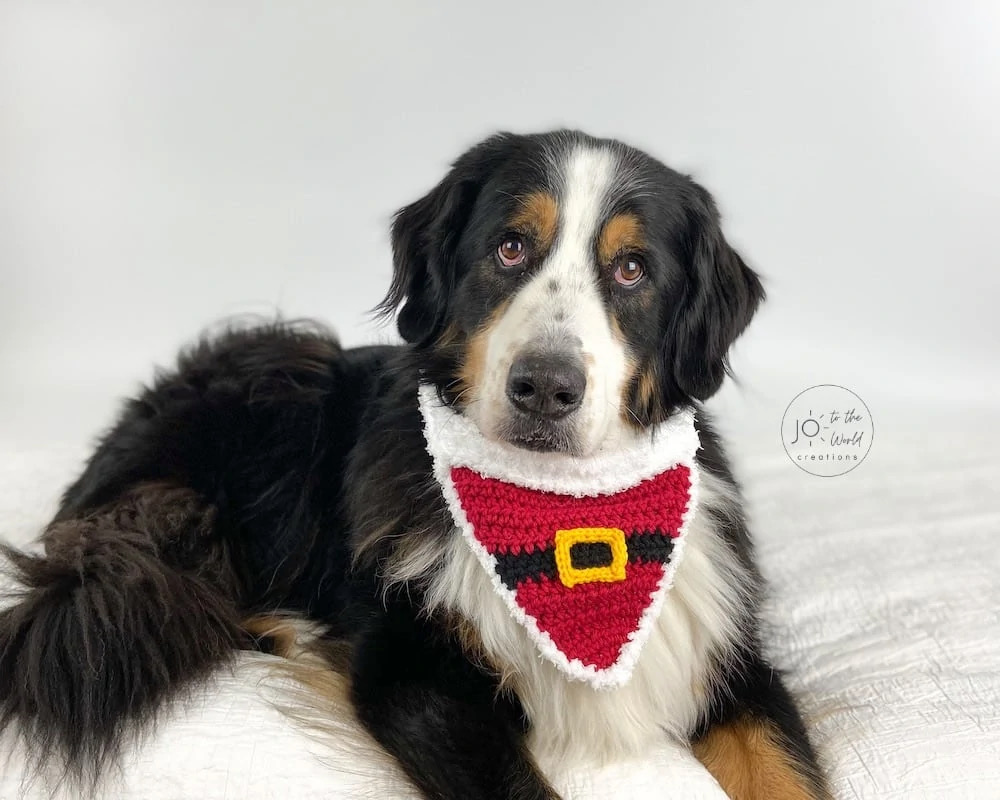 Santa Dog Bandana crochet pattern by JototheWorld