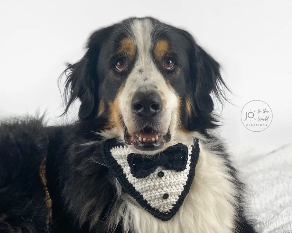 Tuxedo dog bandana crochet pattern by JototheWorld