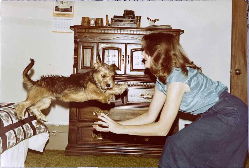 Photo of dog jumping off bed