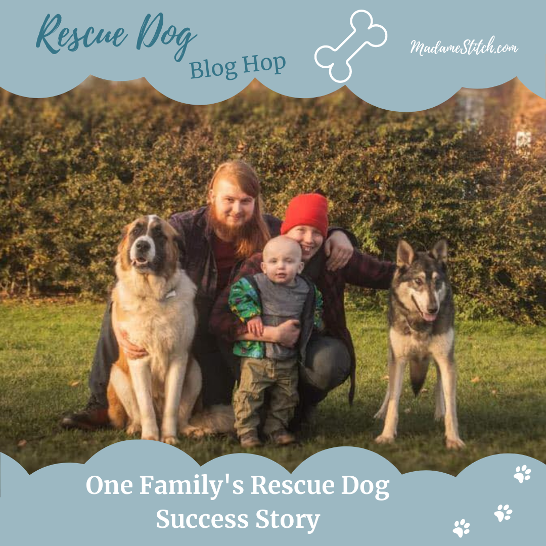 One family’s inspiring rescue dog success story