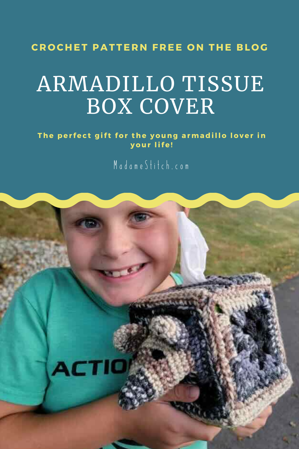 Armadillo Tissue Box Cover crochet pattern by MadameStitch