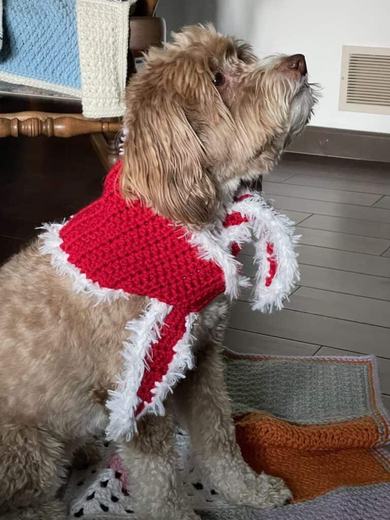 The Christmas crochet dog scarf pattern | A design by MadameStitch