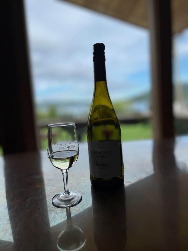A wine glass and wine bottle sitting in the window