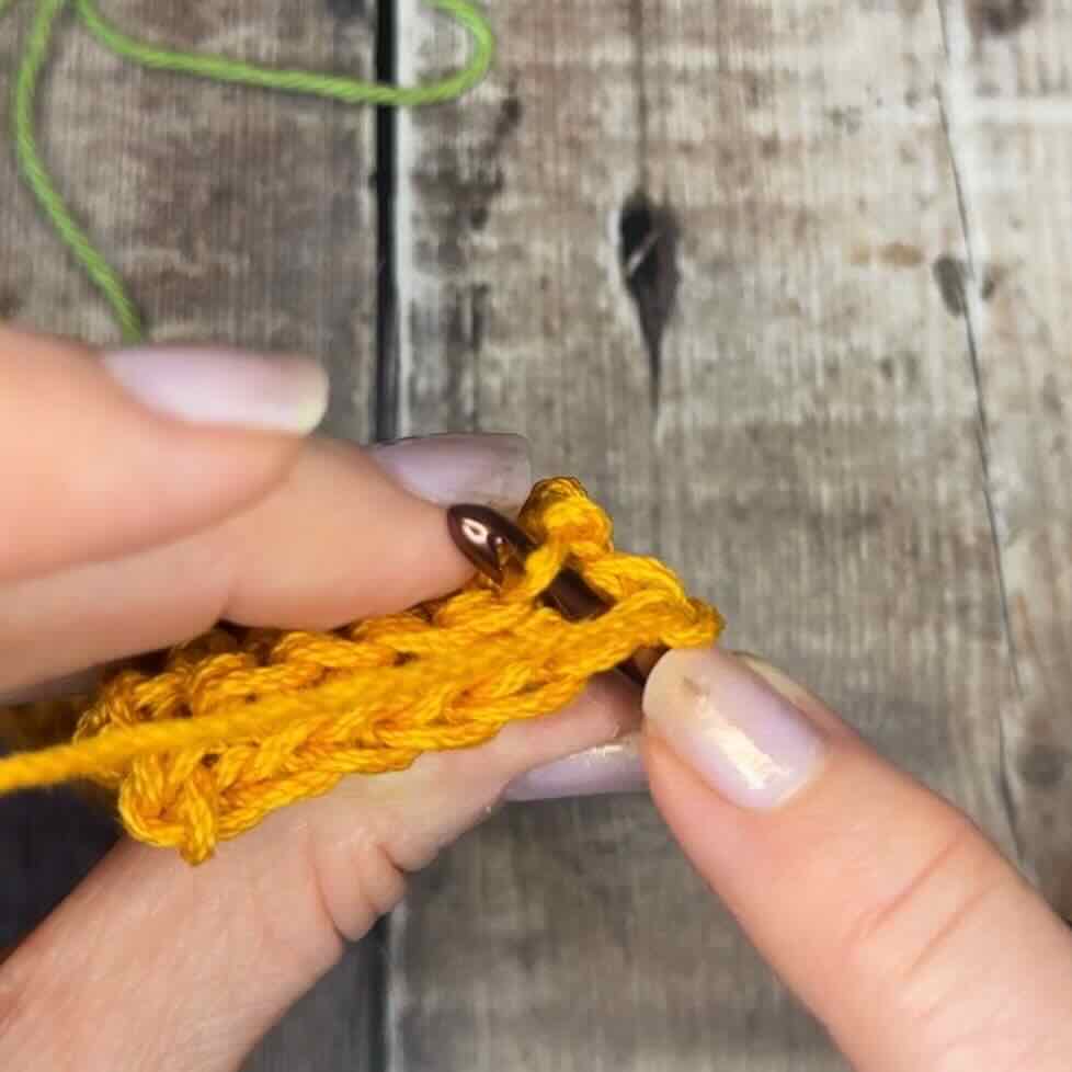A photo of where to insert hook for the final row of the single crochet thermal stitch