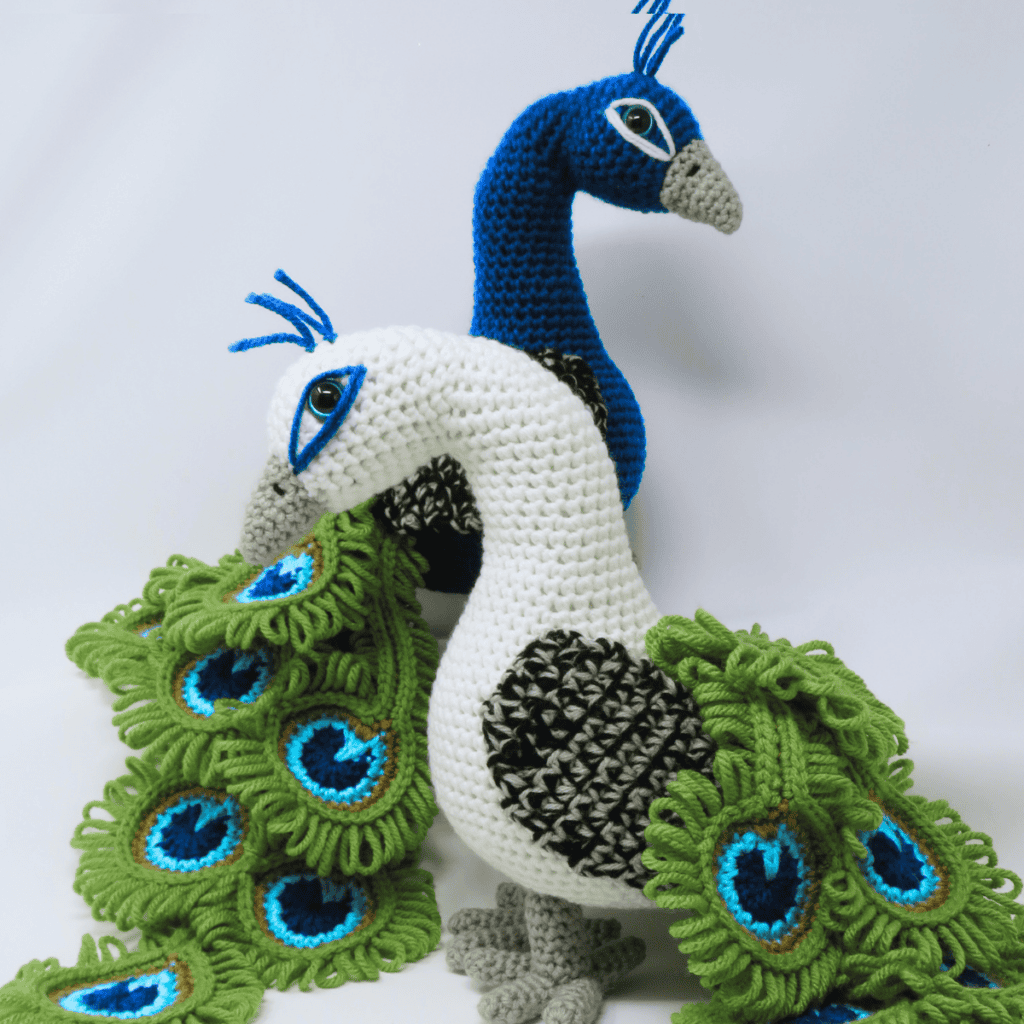 Regal the Peacock